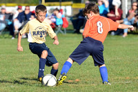Schuylkill Haven Youth Soccer Club: Boys